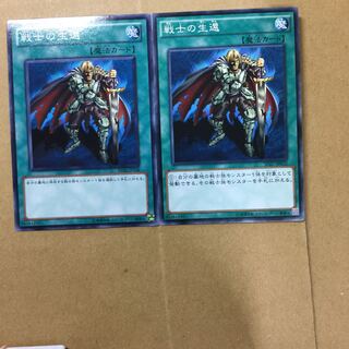 戦士の生還　２枚