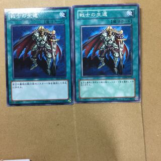 戦士の生還　２枚