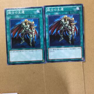 戦士の生還　２枚