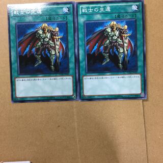 戦士の生還　２枚