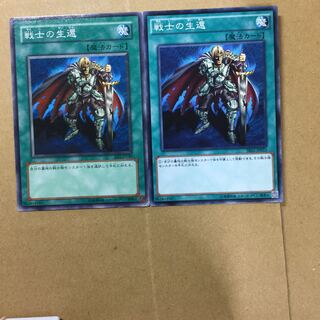 戦士の生還　２枚