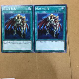 戦士の生還　２枚