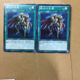 戦士の生還　２枚