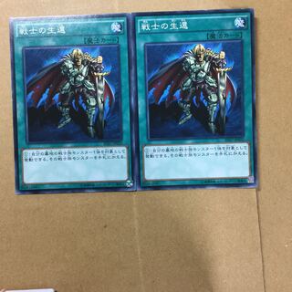 戦士の生還　２枚