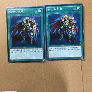 戦士の生還　２枚