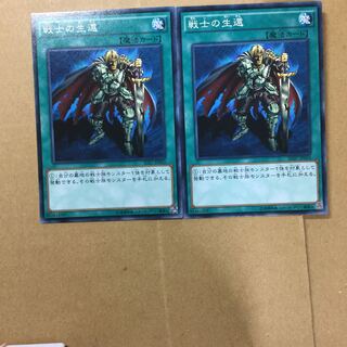 戦士の生還　２枚