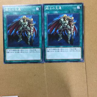 戦士の生還　２枚