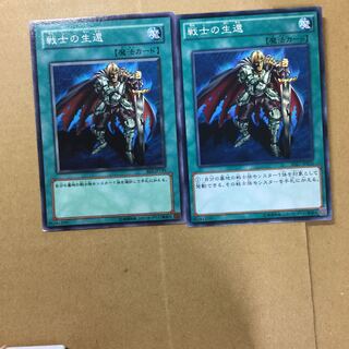 戦士の生還　２枚