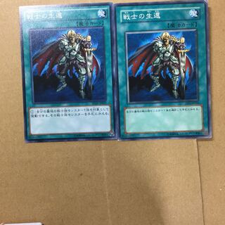 戦士の生還　２枚