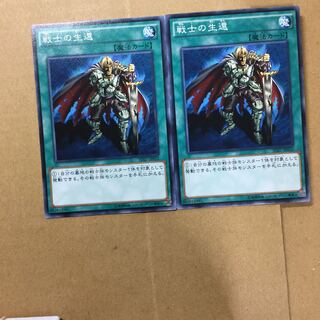 戦士の生還　２枚