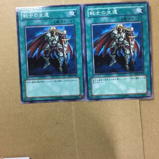 戦士の生還　２枚