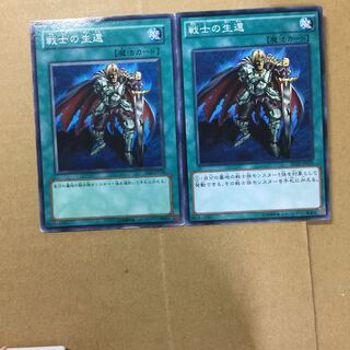 戦士の生還　２枚