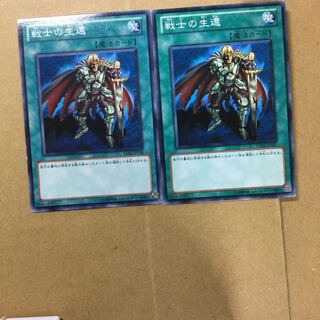 戦士の生還　２枚