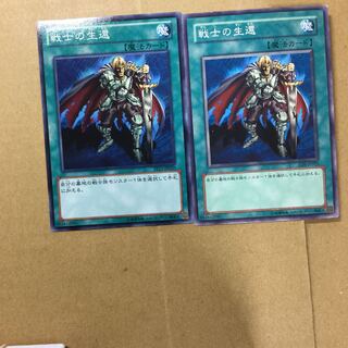 戦士の生還　２枚