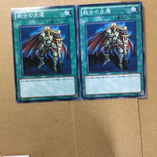 戦士の生還　２枚