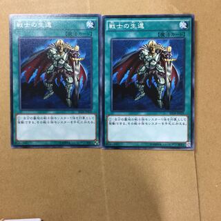 戦士の生還　２枚