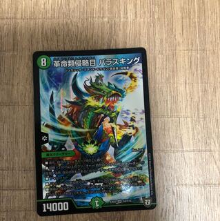 革命類侵略目 パラスキング