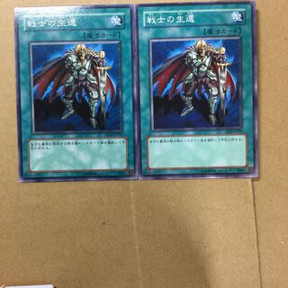 戦士の生還　２枚