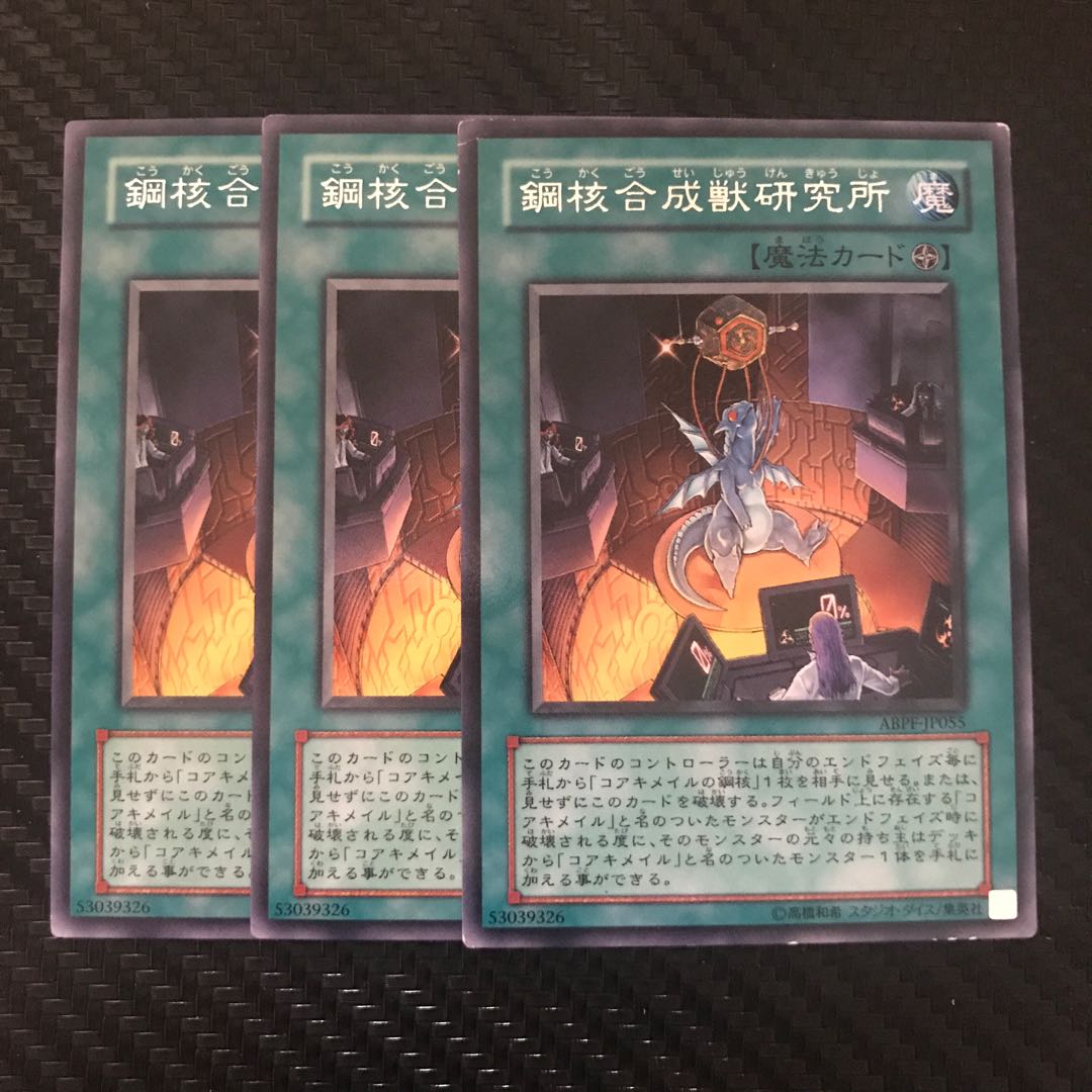 鋼核合成獣研究所 R