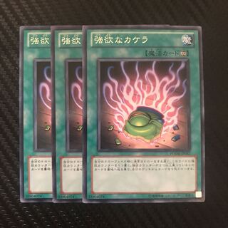 強欲なカケラ R