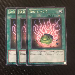 強欲なカケラ R