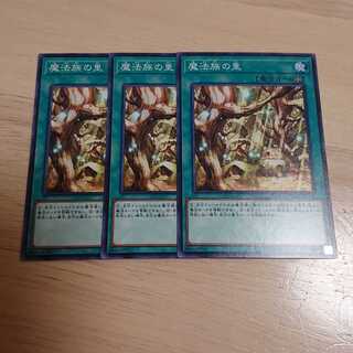 魔法族の里 N 3枚