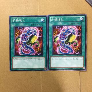 多様進化　２枚