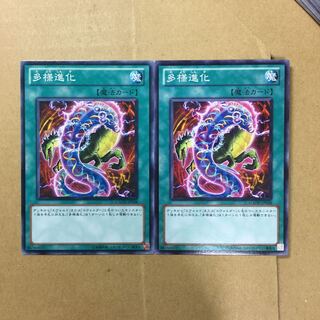 多様進化　２枚