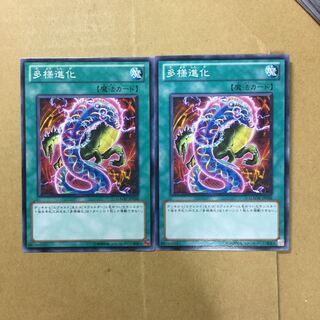 多様進化　２枚