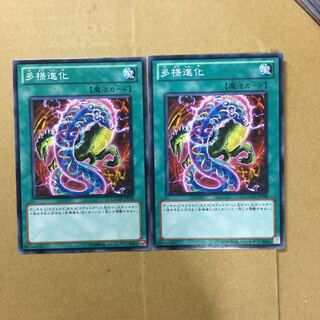 多様進化　２枚