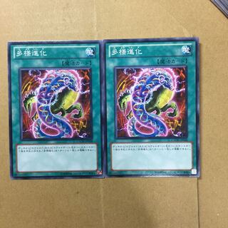 多様進化　２枚