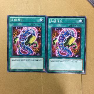 多様進化　２枚