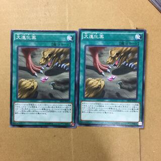 大進化薬　２枚