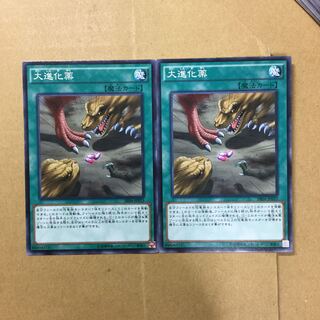 大進化薬　２枚