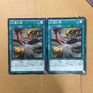 大進化薬　２枚