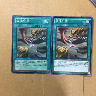 大進化薬　２枚