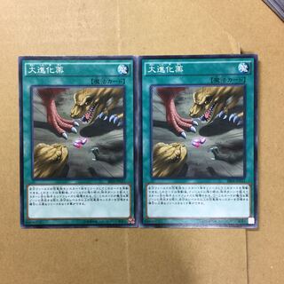 大進化薬　２枚