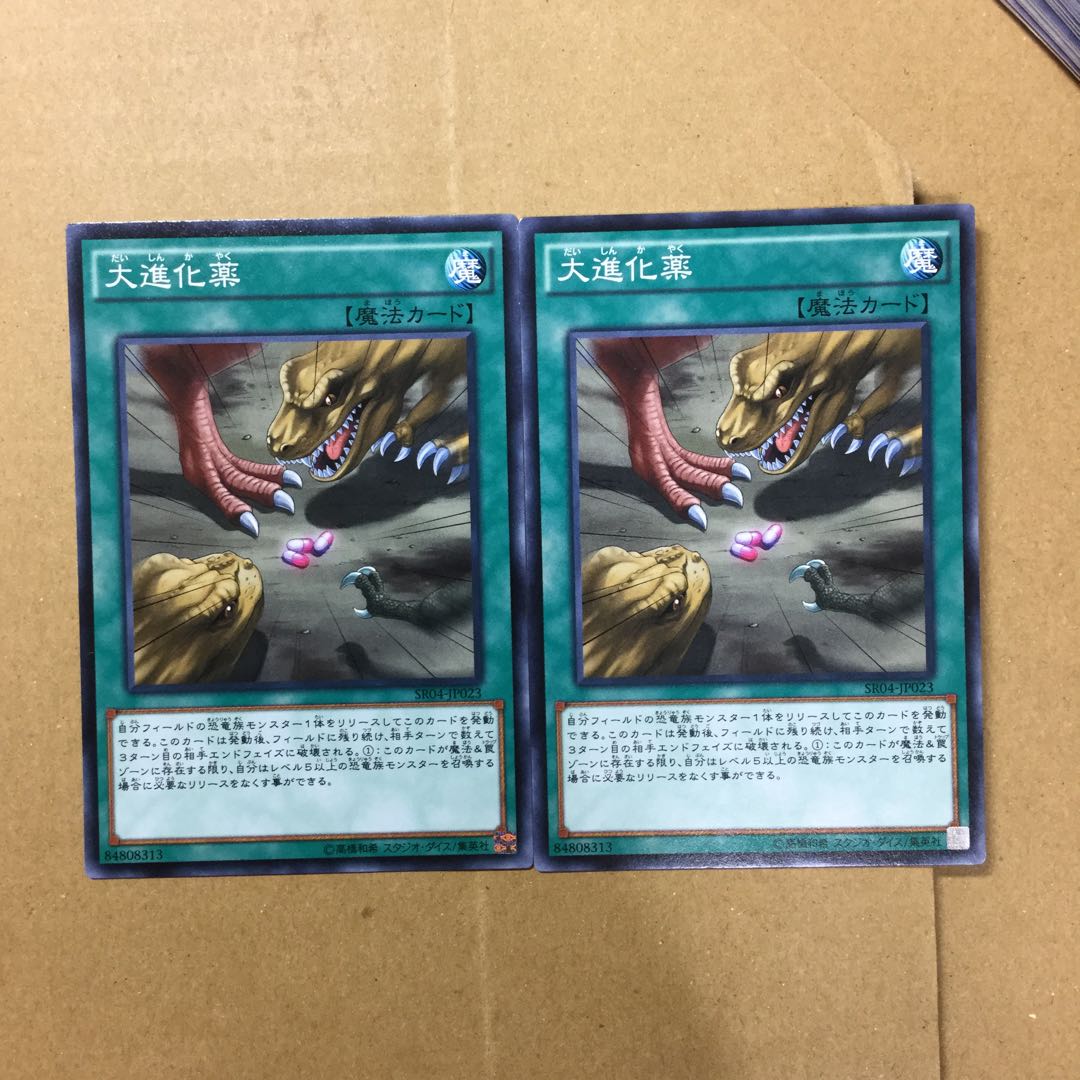 大進化薬　２枚