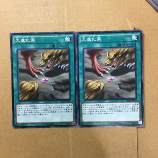 大進化薬　２枚