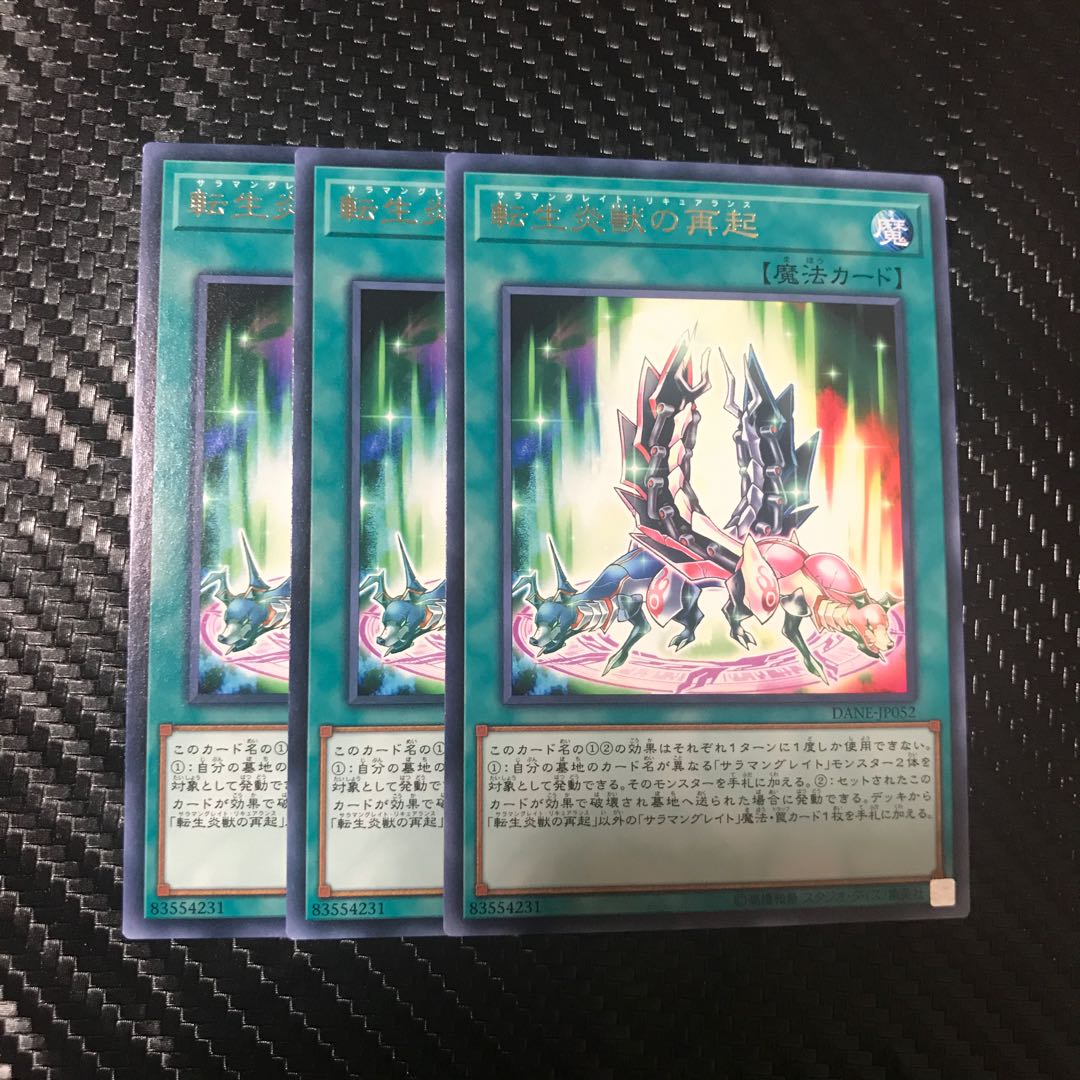 転生炎獣の再起 R