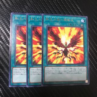 転生炎獣の超転生 R