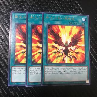 転生炎獣の超転生 R