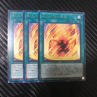 転生炎獣の意志 R