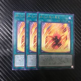 転生炎獣の意志 R