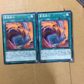 置換融合　２枚