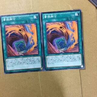 置換融合　２枚