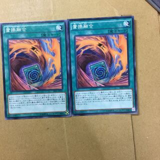 置換融合　２枚