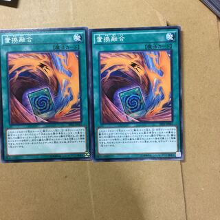 置換融合　２枚