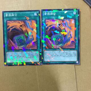 置換融合　２枚