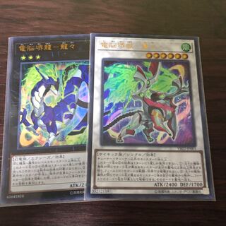 電脳界獣-鷲々 電脳堺龍-龍々